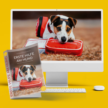 freude-am-hund-kutego-kurse-Seminar Erste Hilfe am Hund