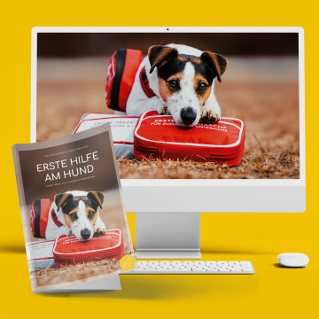 freude-am-hund-kutego-kurse-Seminar Erste Hilfe am Hund